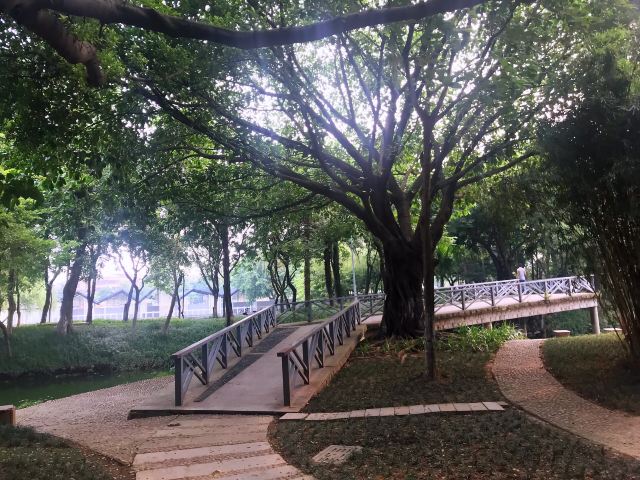 北滘公园旅行图片 8
