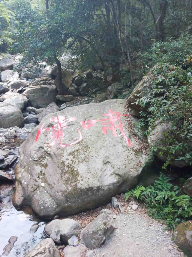 屏山悬索玻璃桥旅行图片 5