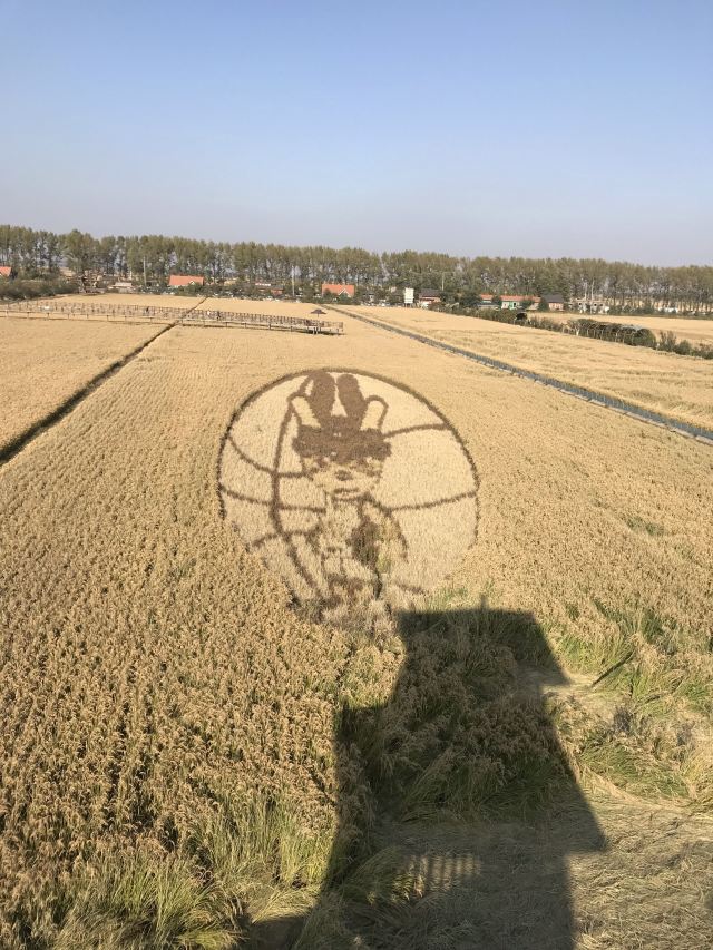 稻夢空間