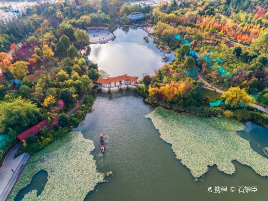 洛龙公园