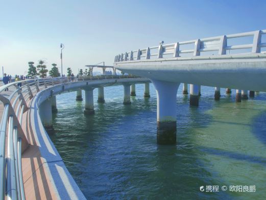 演武大桥观景平台
