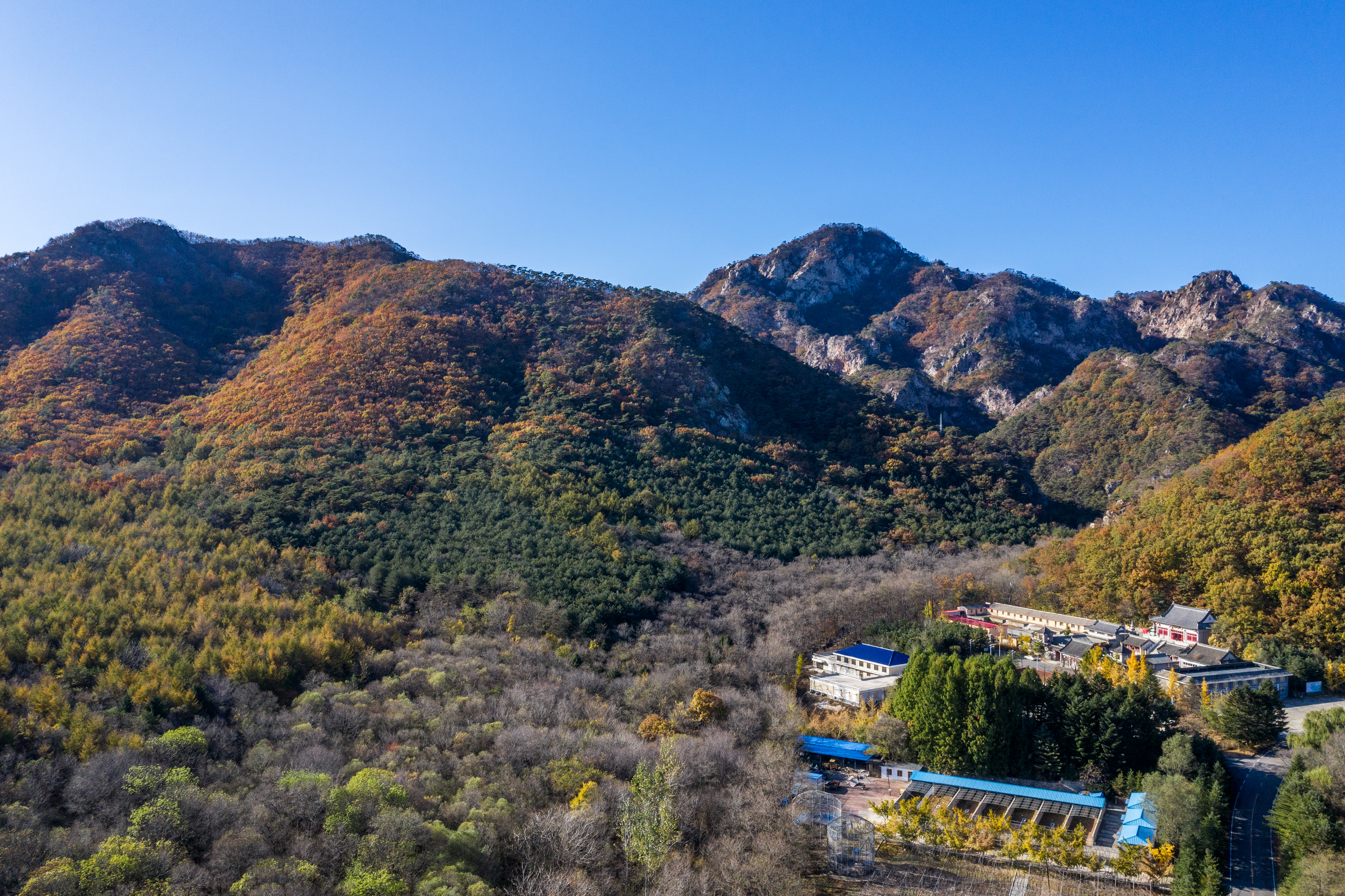 仙人洞森林公园