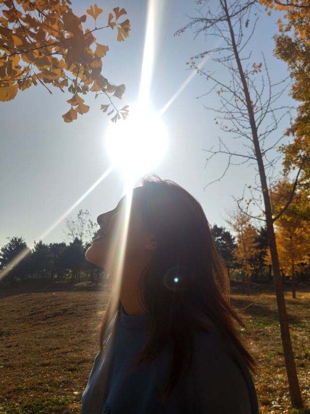 东坝公园旅行图片 2