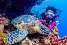 Tondangow旅游图片-5日美娜多+布纳肯·深海拥抱大海龟+滑翔伞翱翔天际