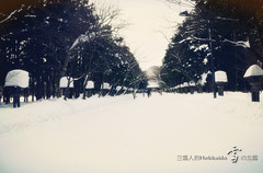 札幌游记图片] 雪暖北海道，定山溪の色