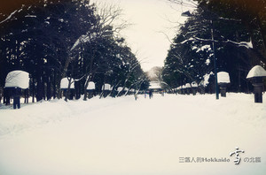 札幌游记图文-雪暖北海道，定山溪の色