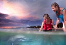 米尔顿旅游图片-2日布里斯班·喂海豚+抱考拉+观鲸+浮潜