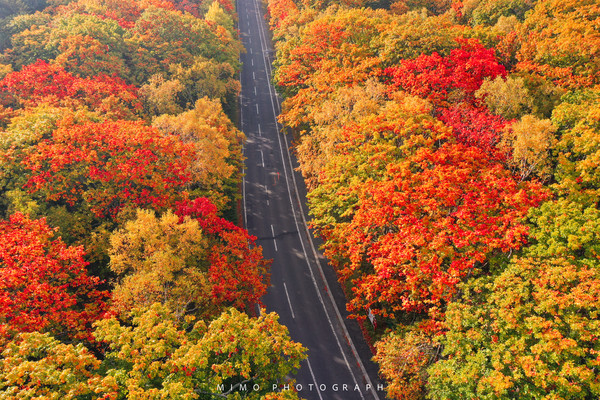 北海道的东：你一定知道很多如诗且如画的风景