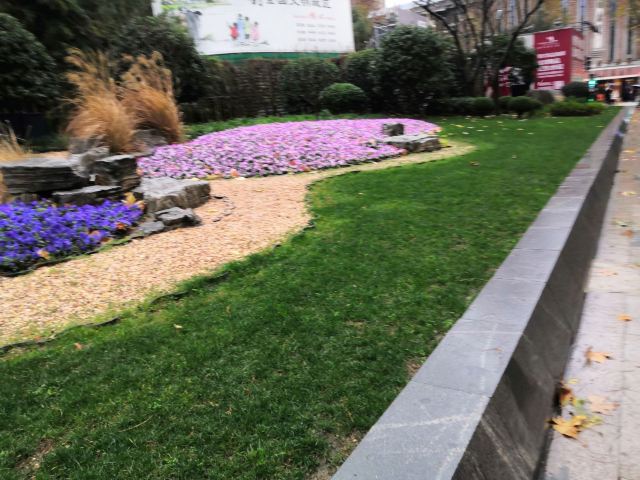 南馆公园旅行图片 1