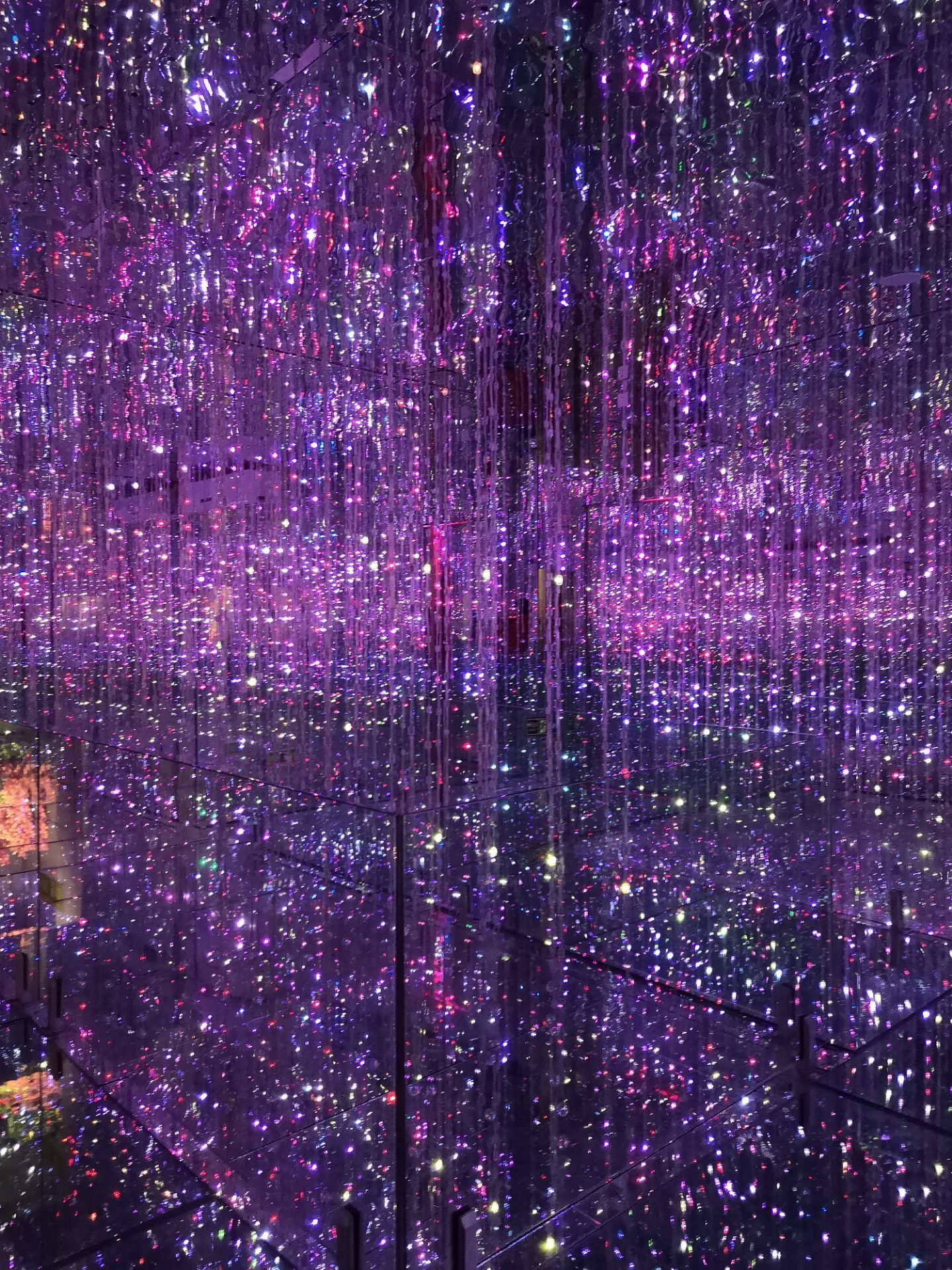 泉州觅鲤幻光之恋