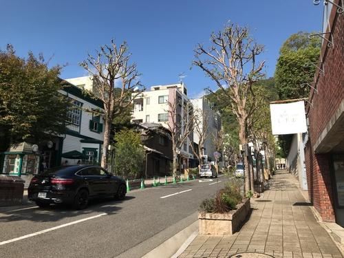 有马本街道