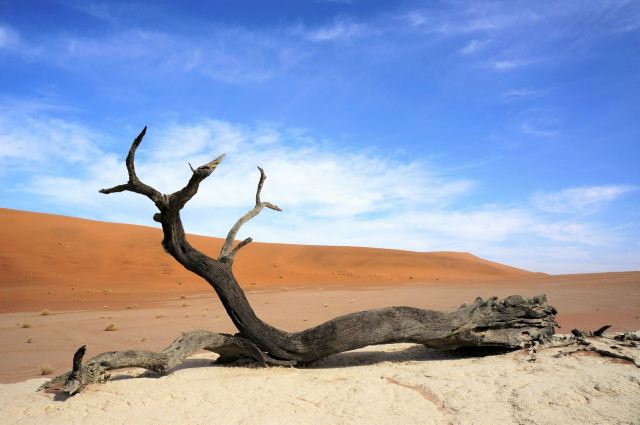 Namib-Naukluft National Park