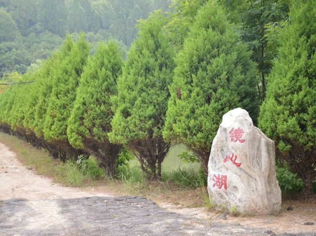 延安劳山国家森林公园旅行图片 4