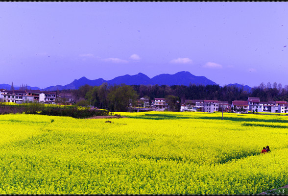 向春天出发——2019,3,自驾,踏春。(三)西安、汉中。