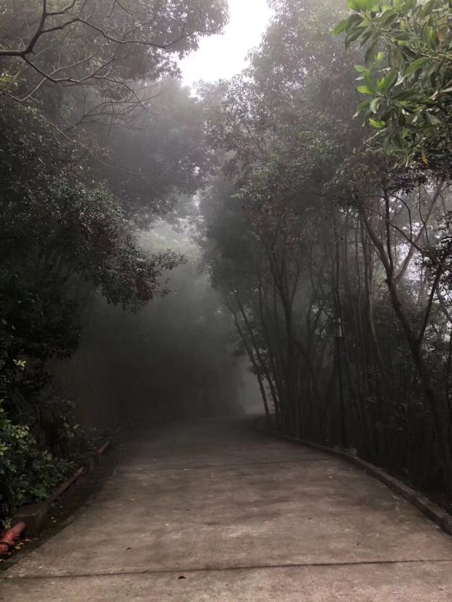 小南山公园旅行图片 4