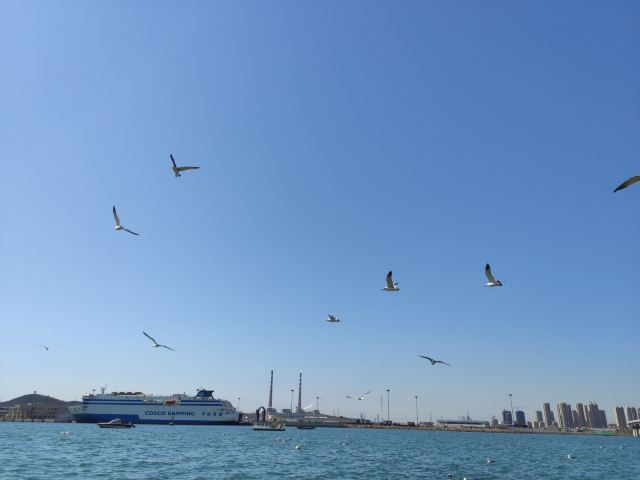 滨海公园旅行图片 5