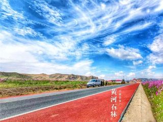 拿什么开启你的清明假期?自驾黄河石林啊!免票哟!