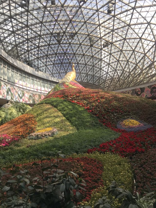 花之城旅行图片 1