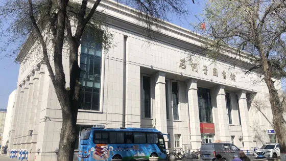 八師石河子市圖書館(北三路)