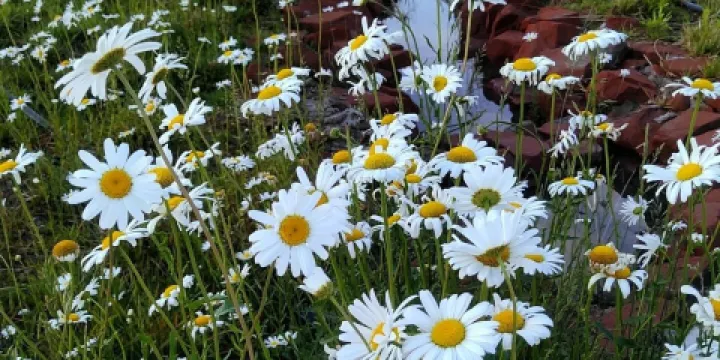 英吉沙縣文化館