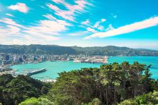 维多利亚山-惠灵顿-doris圈圈