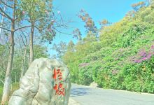 怪坡景点图片