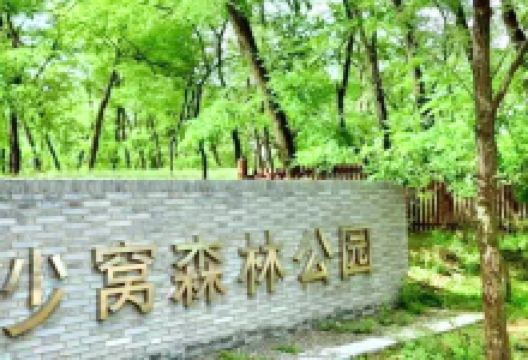 沙窝森林世界景点图片