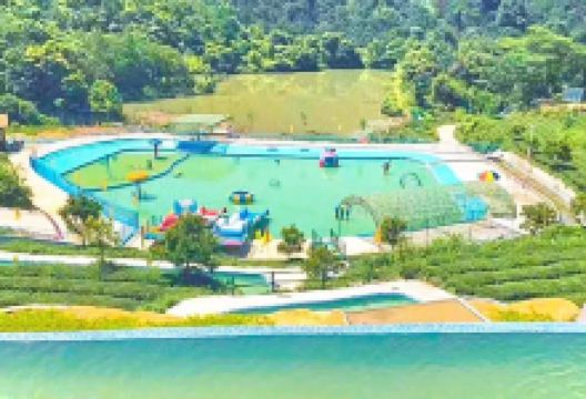 玉湖山生态茶园景点图片