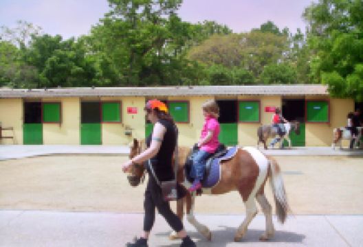 Hawkes Bay Farmyard Zoo景点图片