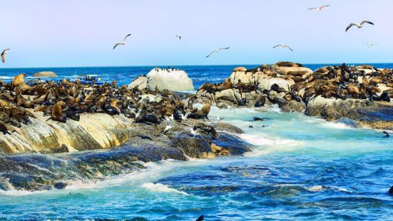海豹島
