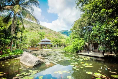 亚龙湾热带天堂森林公园-兰花谷