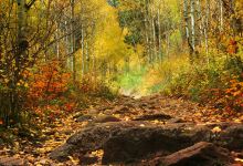 Golden Gate Canyon State Park景点图片