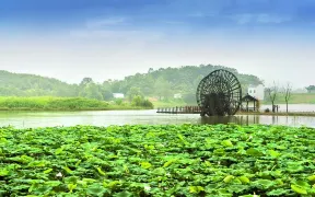 2-Day Chizhou Tour: Buddhist Culture at Jiuhua Mountain, Ancient Charm of Xinghua Village