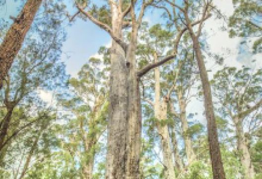 巨人谷景点图片