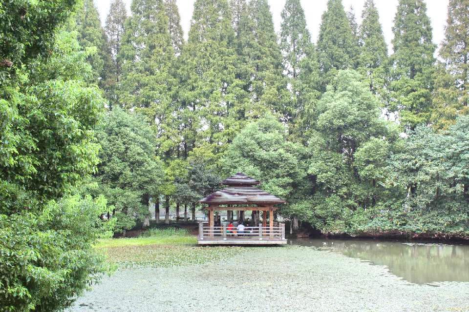 黄山湖公园