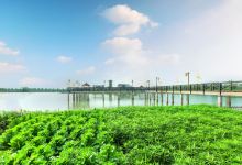 高邮湖景点图片