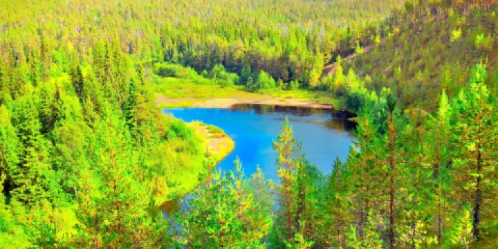 奧蘭卡國家公園