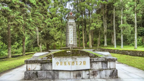 小井