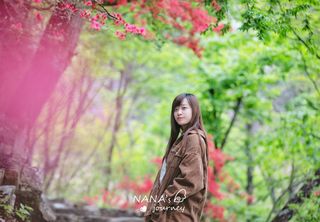 春意绵绵,相遇六安