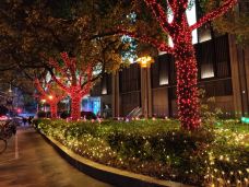 淮海路-上海-YoYo_9J2A0P6O