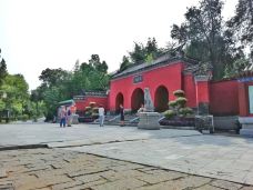 卧龙岗-南阳-轻快的行走脚步