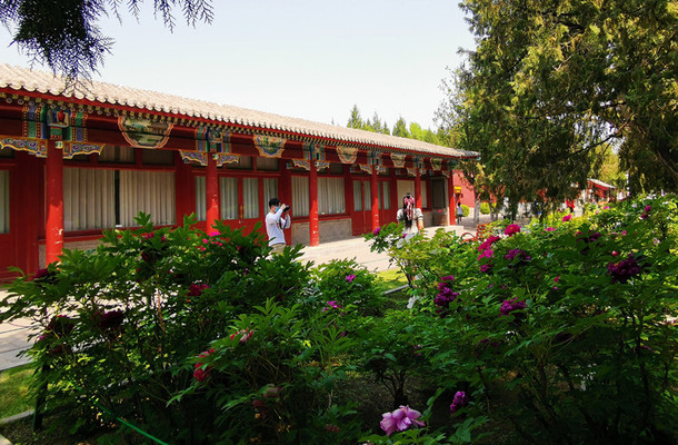 2020-4-28  中山公园