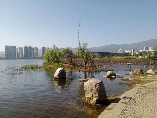 洱海月湿地公园旅行图片 3