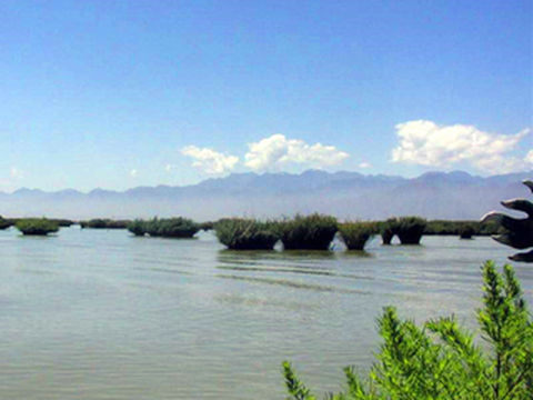 宁夏3日游(1)——沙湖 (04年7月)