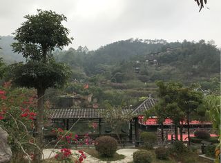 云浮新兴天露山之旅