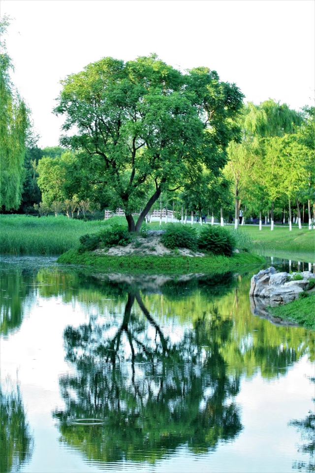 西山公园旅行图片 7