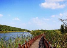 滨湖国家森林公园-合肥-惠yw