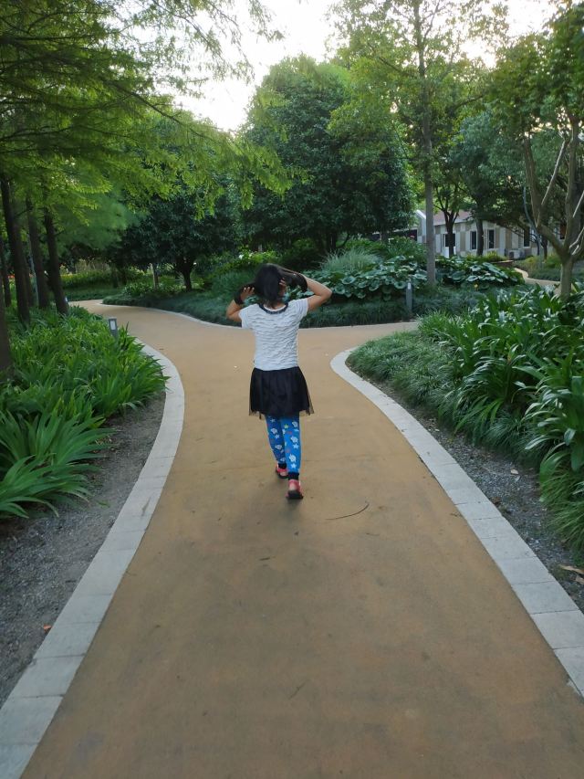 蓬莱公园旅行图片 3