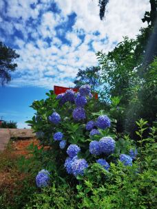 泸州方山风景区-泸州-路上50