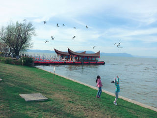 春城春来早——昆明大观楼 官渡古镇 滇池之旅(王志明)